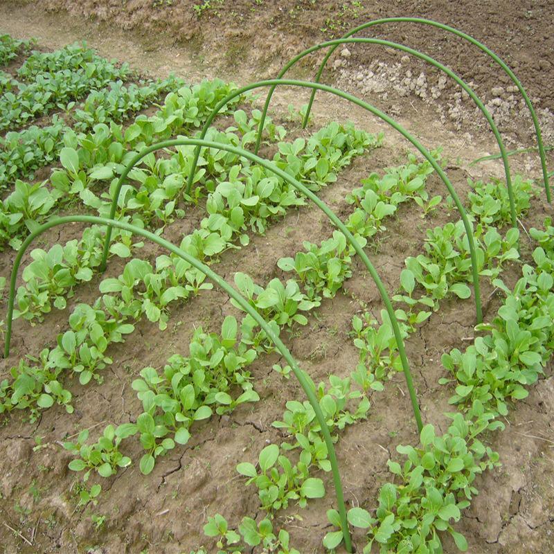 6PCS Greenhouse Plant Hoops, 1.2m Arched, Rust-Resistant Steel for Row Covers - SuperSaverAU - view 3