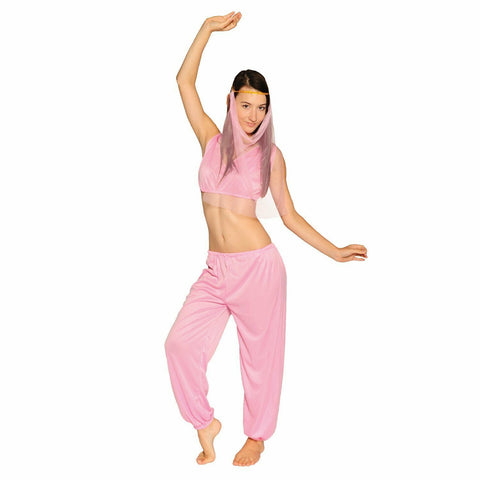 Premium Ladies Arabian Princess Costume - One Size
