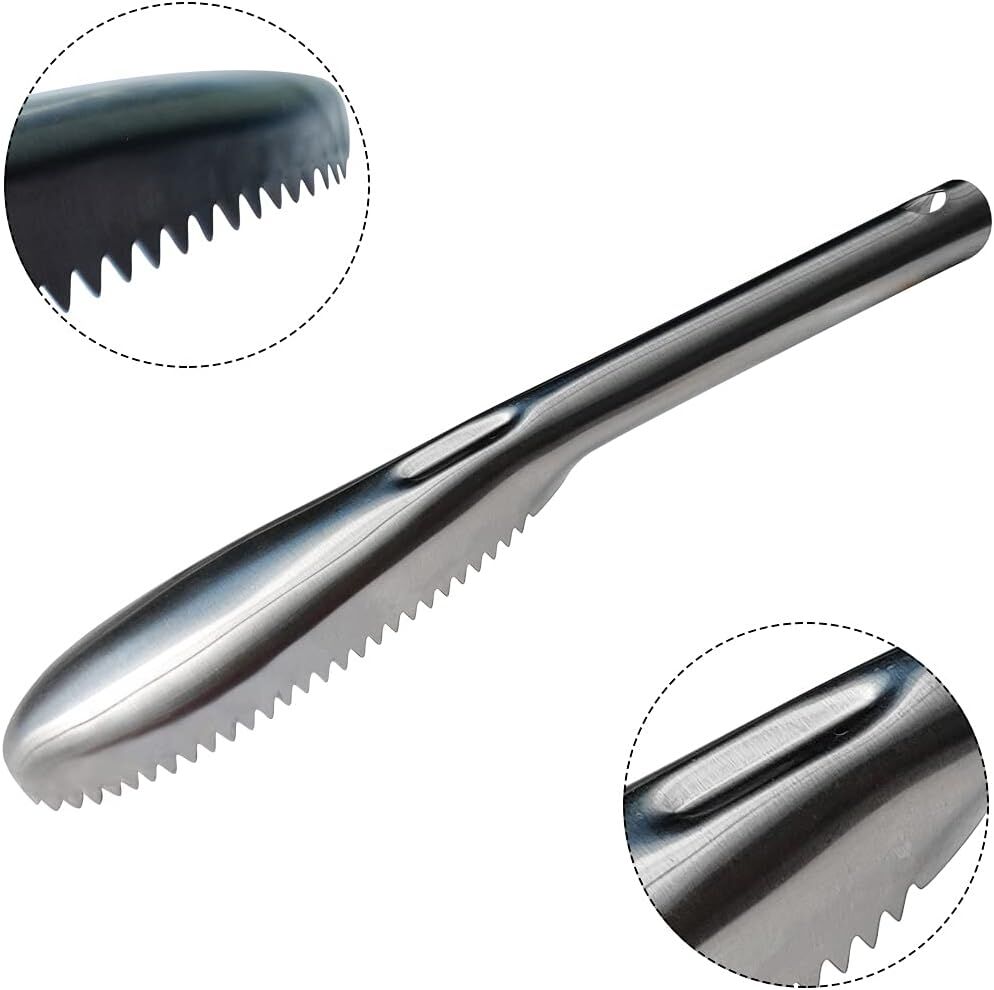 Premium Stainless Steel Fish Scale Remover – Serrated Edge 22.6cm
