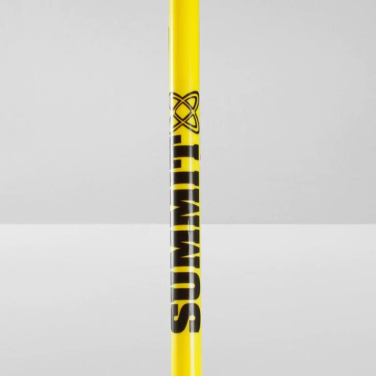 Premium 10x Agility Slalom Training Poles with Spring Spike Base & Carry Bag - 170cm