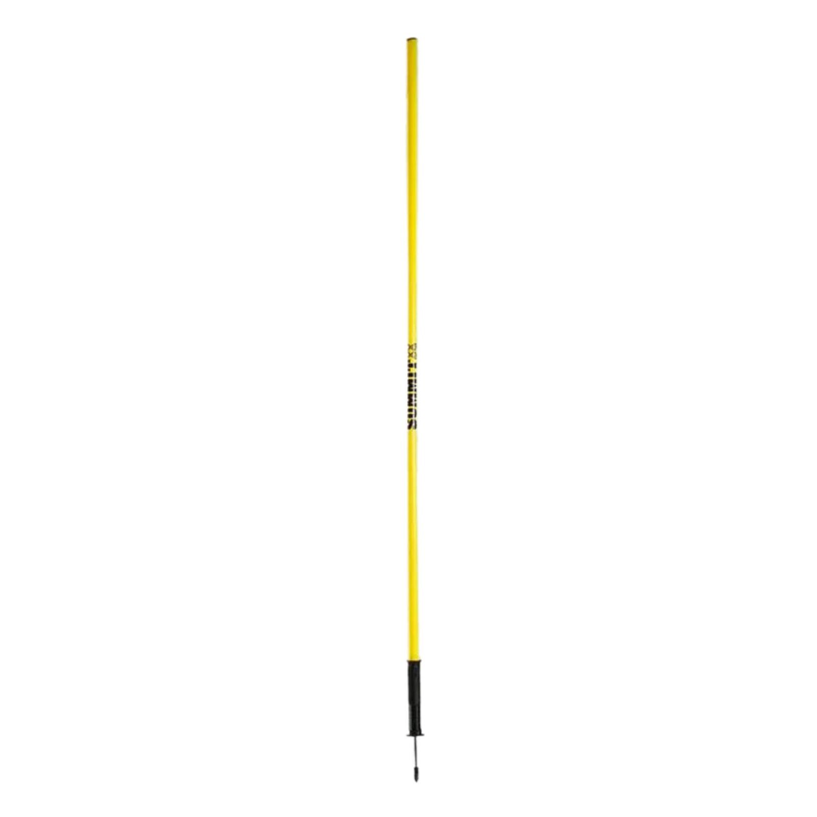 Premium 10x Agility Slalom Training Poles with Spring Spike Base & Carry Bag - 170cm