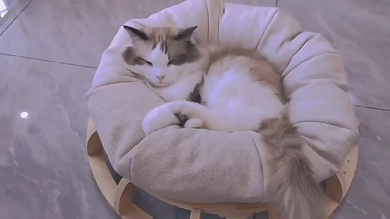 Timber Gyro Cat Nest Bed, 60cm x 60cm x 22cm, Scratch Resistant, Multi-functional - SuperSaverAU - view 6