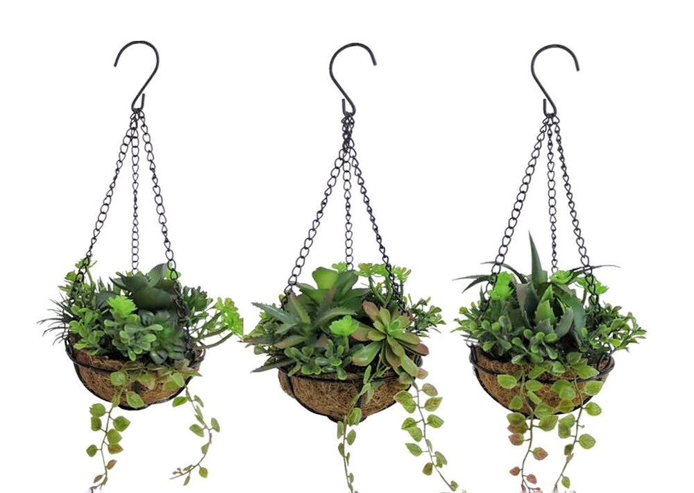 Set 3 Faux Hanging Succulents 38cm - Realistic Foliage, Multi-Color - SuperSaverAU - view 1