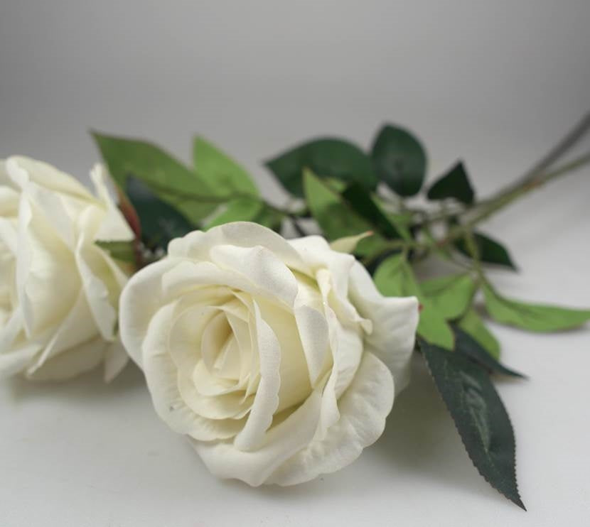 Artificial Single Stem Rose White 62cm - Beautifully Realistic Foliage, 24 Pack - SuperSaverAU - view 1