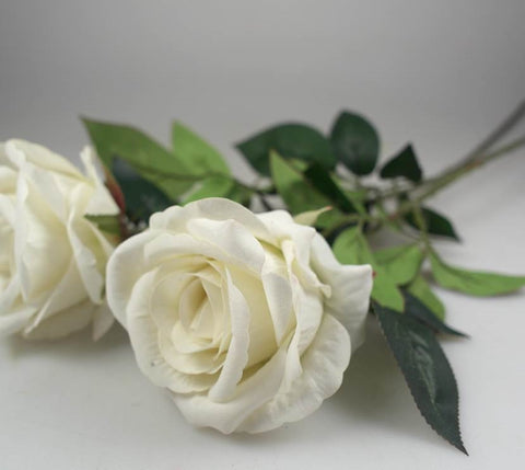 Artificial Single Stem Rose White 62cm - Beautifully Realistic Foliage, 24 Pack - SuperSaverAU - view 1
