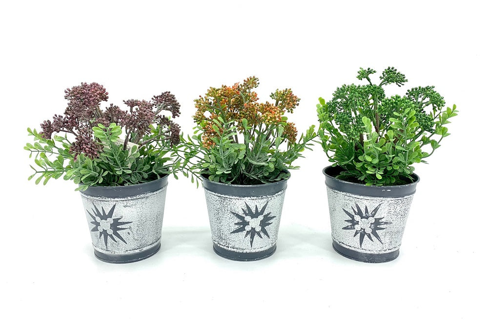 Set of 3 Artificial Brocollini in Multi Colour Tin Pot 7x21cm - SuperSaverAU - view 1