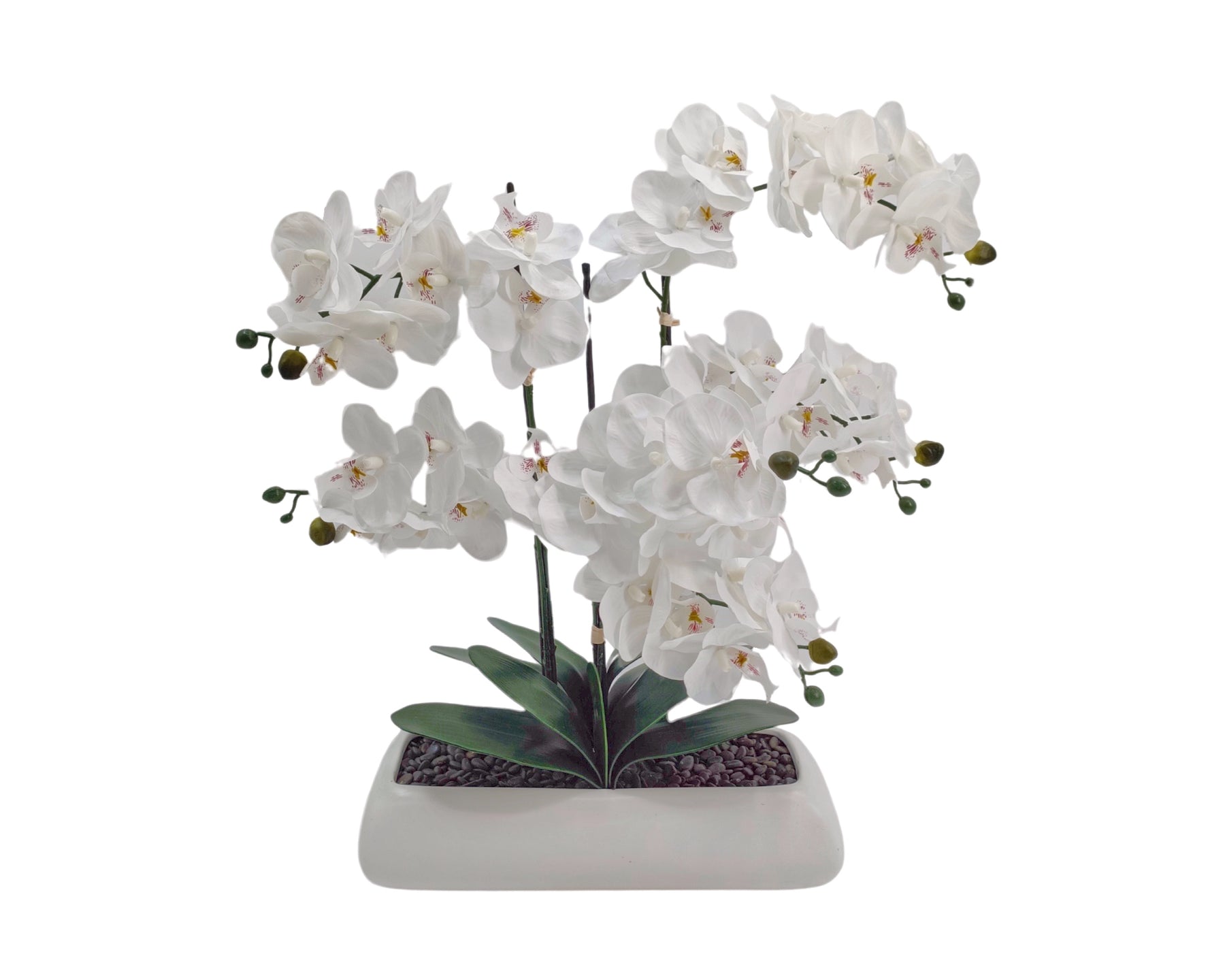 White Orchid in Rectangle Ceramic Pot - 56x61cm, Realistic Foliage, 2kg - SuperSaverAU - view 1
