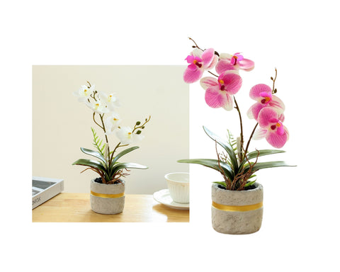 Set 2 Artificial Orchid in Cement Pot 27cm - SuperSaverAU - view 1