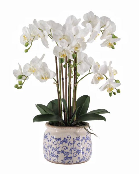 Real Touch Artificial Orchid in Pot 61cm - White, Realistic Foliage, 3kg - SuperSaverAU - view 1