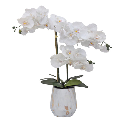 Real Touch Artificial Orchid Pot 55cm - White, Realistic Foliage, 1kg - SuperSaverAU - view 1