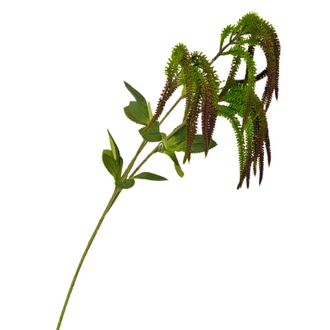 Artificial Amaranthus Stem 3 Branches 2 Assort 75cm - Realistic Green Foliage - SuperSaverAU - view 1