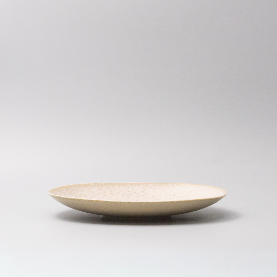 Premium 25cm White Fade Glaze Ceramic Dinner Plate Japanese Tableware