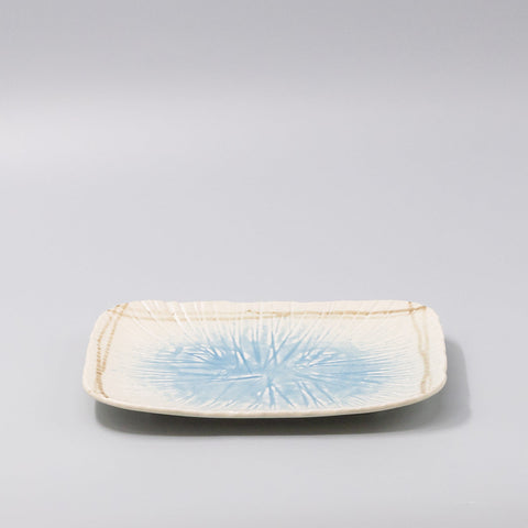 Premium Sushi Platter with Okinawa Glaze - 25.8cm