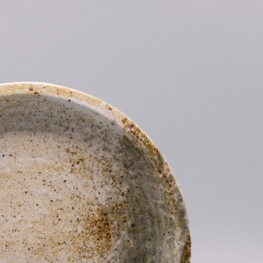 Premium Thick Edge Plate – Beige Snow Bamboo Glaze 25cm