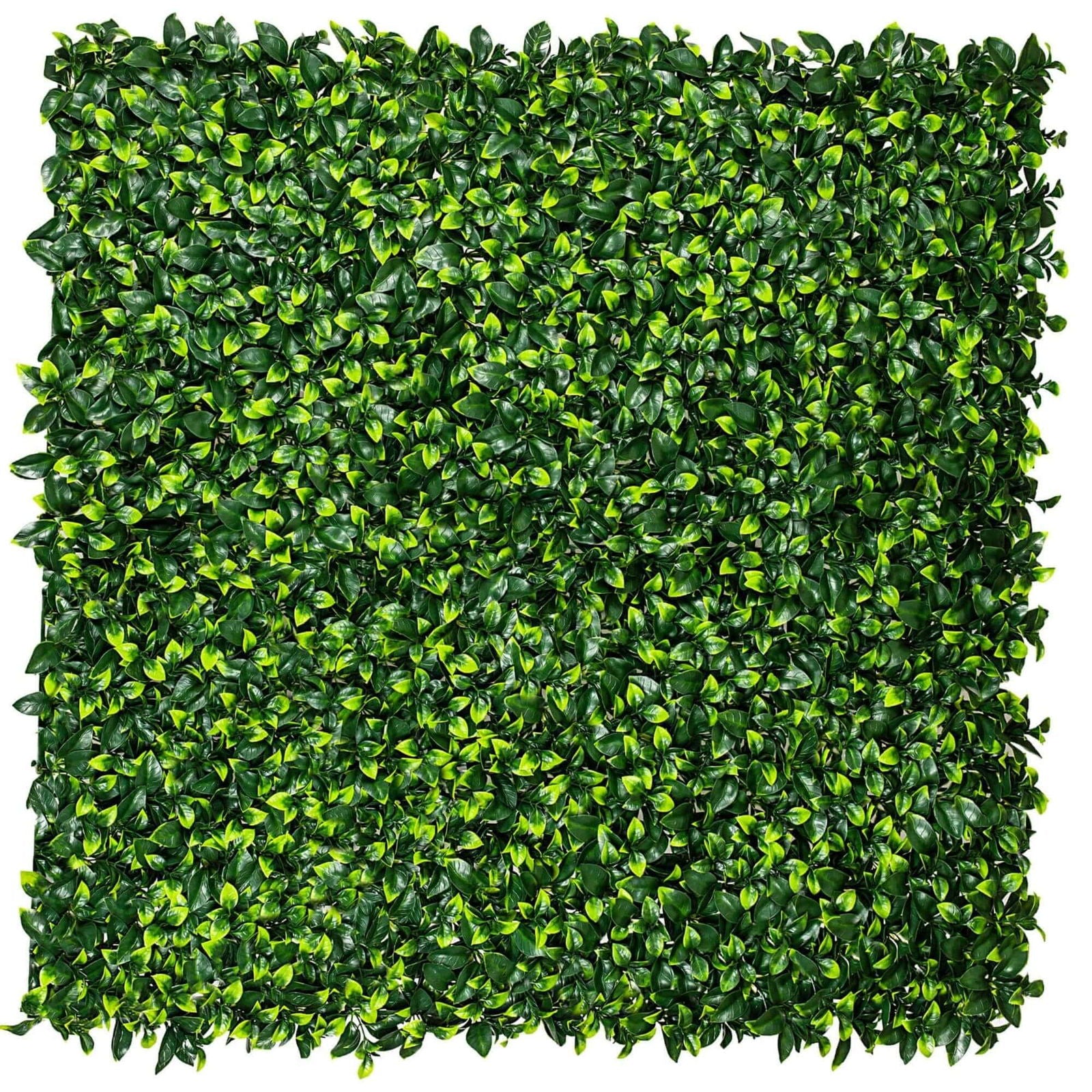 Jasmine Hedge Screen Green Wall Panel UV Resistant 100cm x 100cm - Easy Install, Low Maintenance - SuperSaverAU - view 1