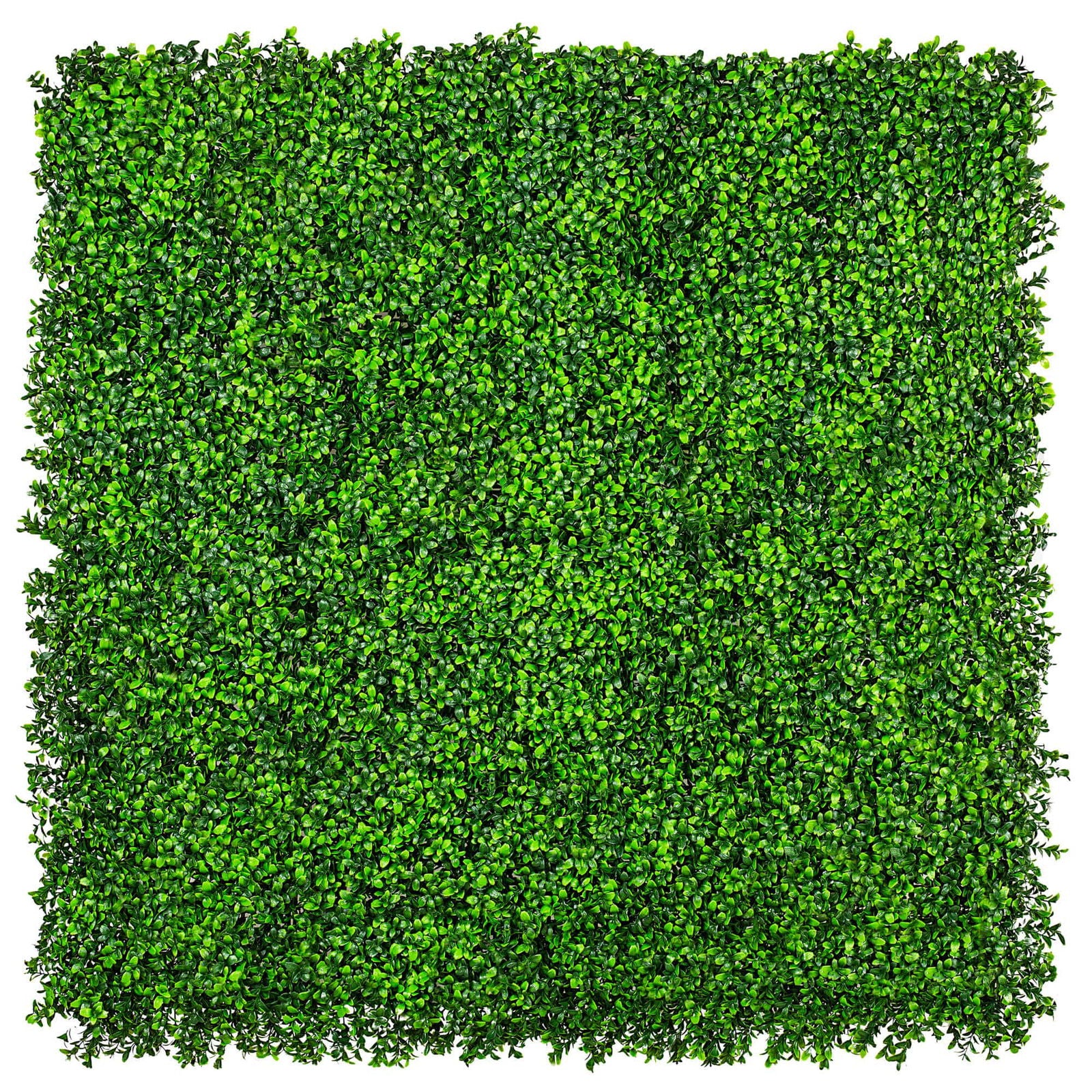Deluxe Buxus Artificial Hedge Panels UV Resistant 1m x 1m - Easy Install, Lifelike - SuperSaverAU - view 1