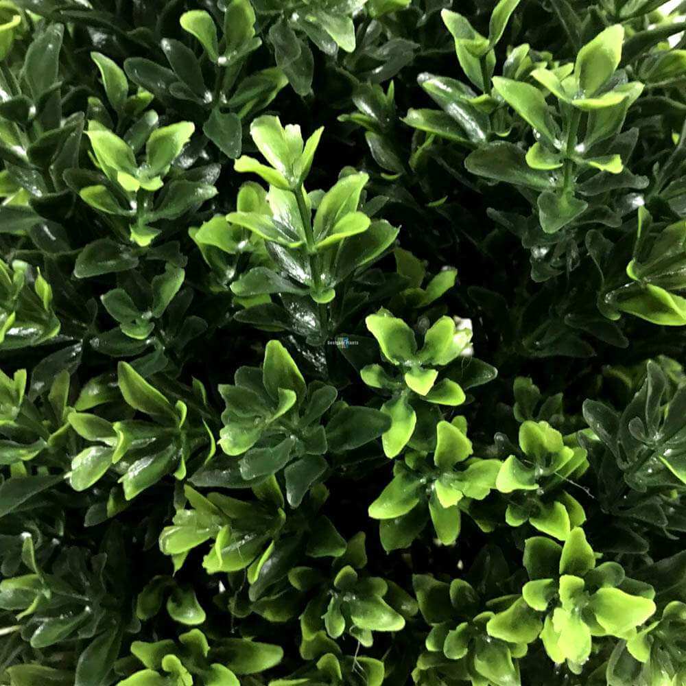 Premium Artificial Hedyotis Topiary Shrub – UV Resistant 50cm with Pot