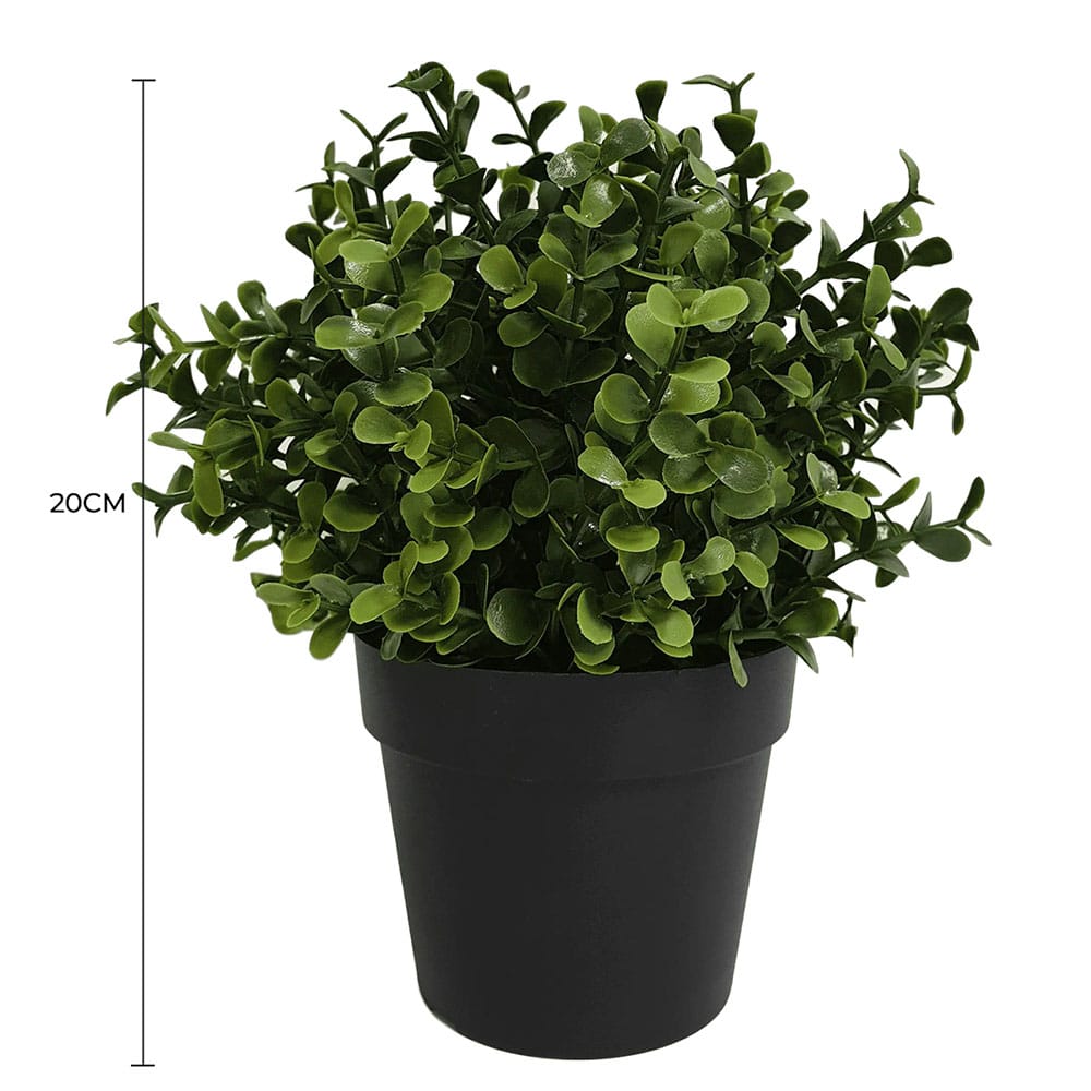 Faux Buxus Potted Outdoor Plant 20cm - UV Resistant, Recycled Materials - SuperSaverAU - view 2
