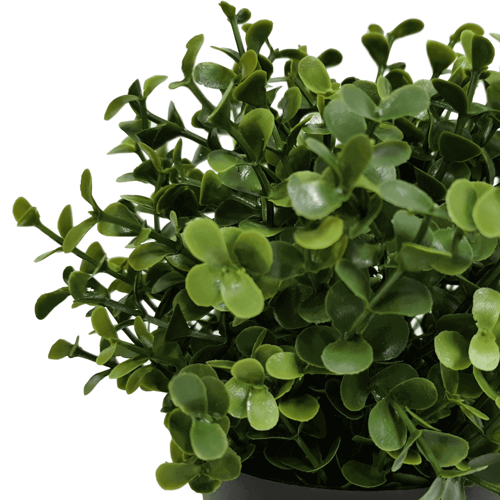 Faux Buxus Potted Outdoor Plant 20cm - UV Resistant, Recycled Materials - SuperSaverAU - view 3