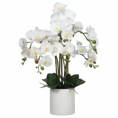 Large Flowering White Faux Potted Orchid 65cm - Lifelike, Low Maintenance, Modern Pot - SuperSaverAU - view 1