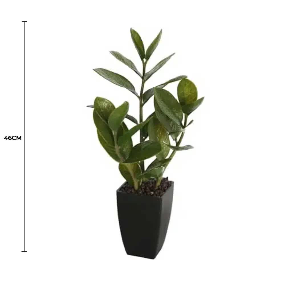 Small Potted Zanzibar 46cm - Realistic Indoor Plant in Black Ceramic Pot - SuperSaverAU - view 2