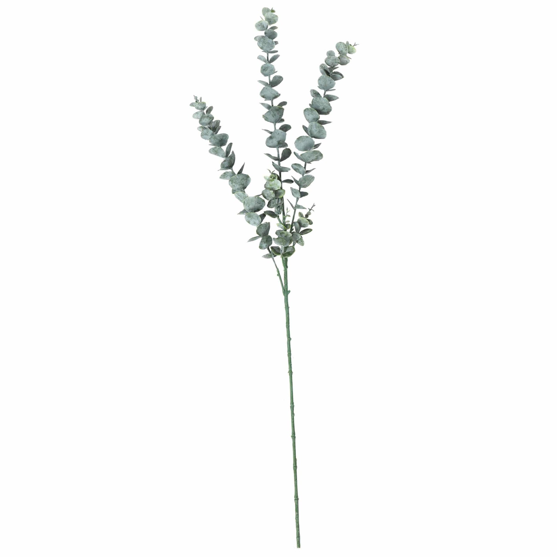 Eucalyptus Artificial Stem 75 cm - Realistic Faux Greenery for Home Decor - SuperSaverAU - view 1