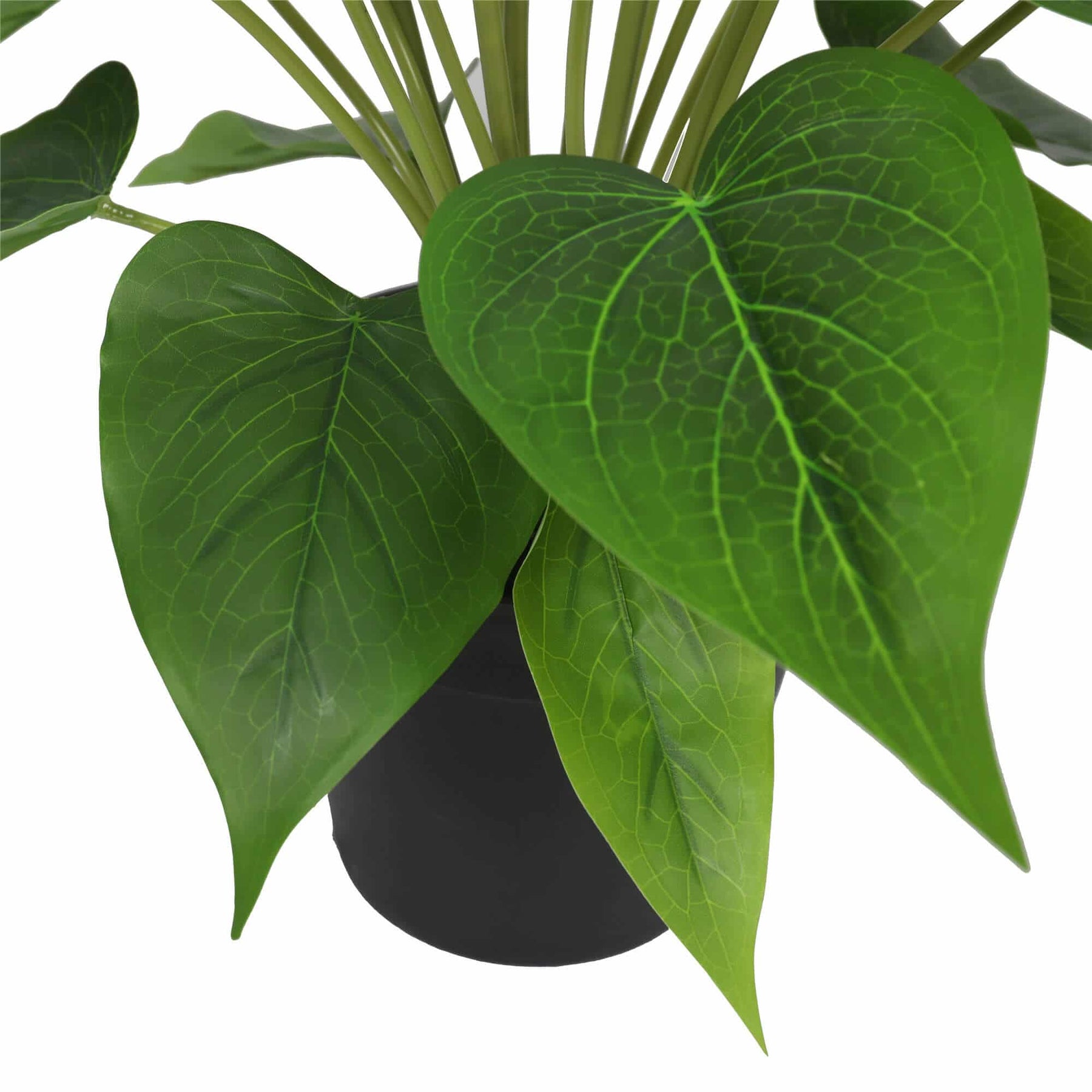Designer Plants Faux Potted Peace Lily Plant 50cm - Real Touch, Indoor Use - SuperSaverAU - view 4