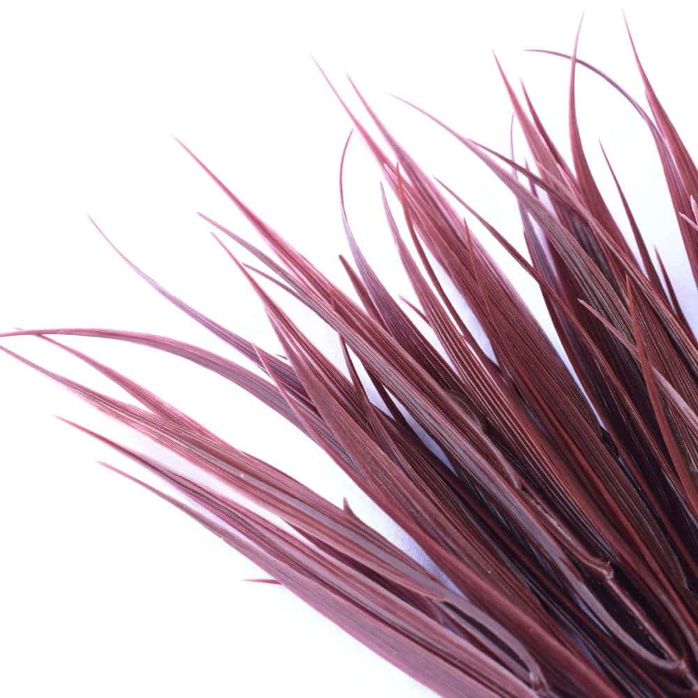 UV Resistant Dark Red Artificial Grass Stem 35cm Long - Elegant Synthetic Plant - SuperSaverAU - view 3