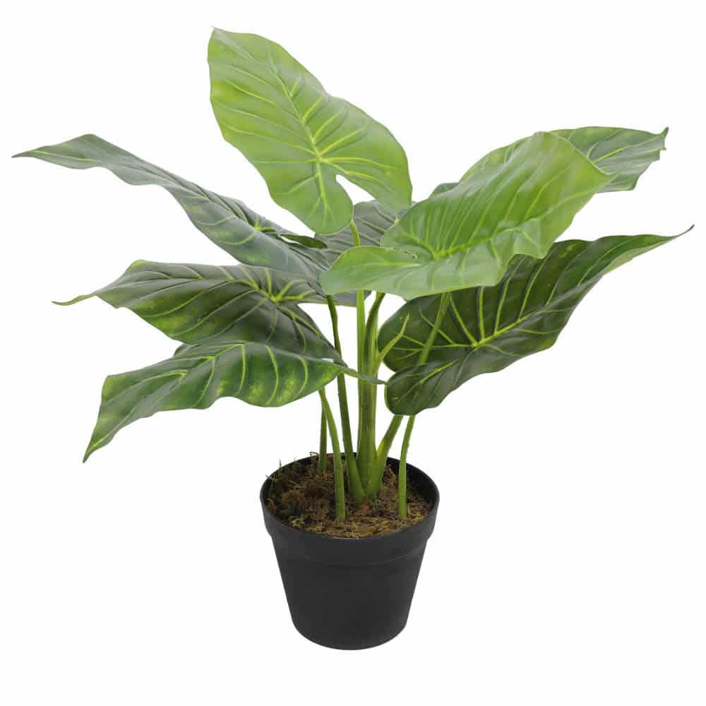 Artificial Potted Taro Plant 55cm - Indoor Elephant Ear Plant for Tambour Cabinets - SuperSaverAU - view 1