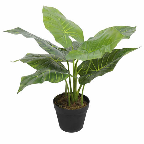 Artificial Potted Taro Plant 55cm - Indoor Elephant Ear Plant for Tambour Cabinets - SuperSaverAU - view 1