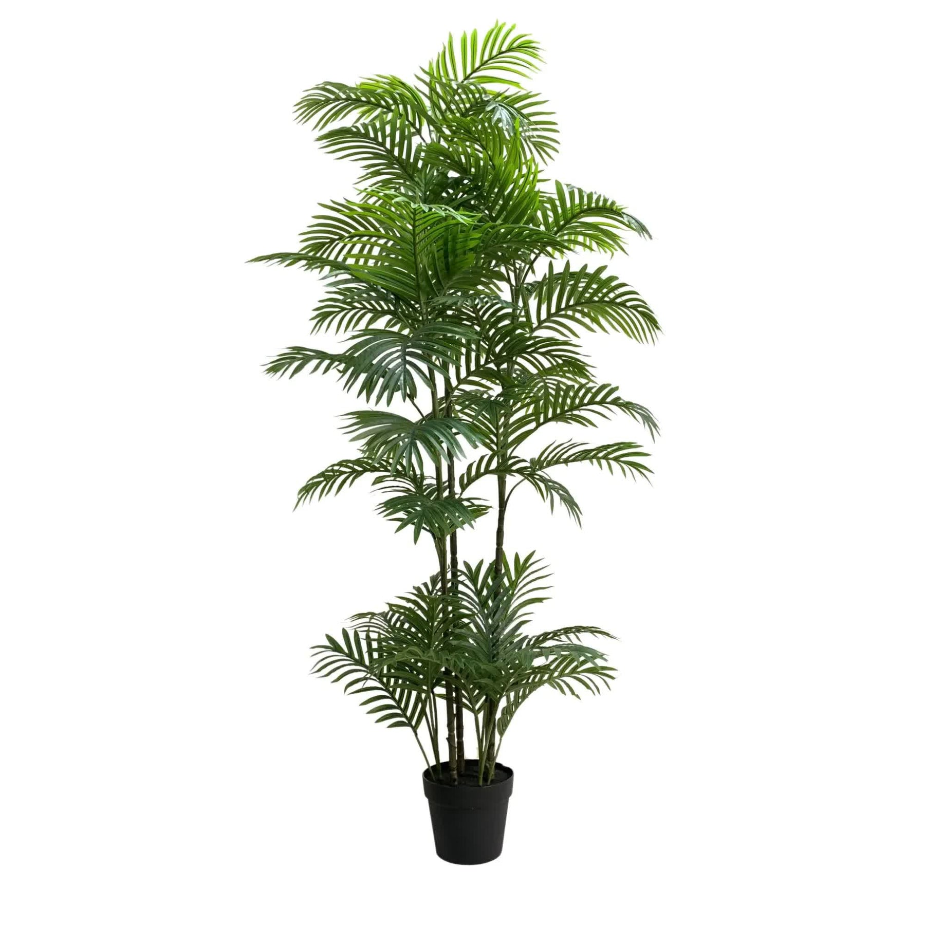 Premium Artificial Potted Multi-trunk Fan Palm Tree 180cm - Indoor Plant - SuperSaverAU - view 2