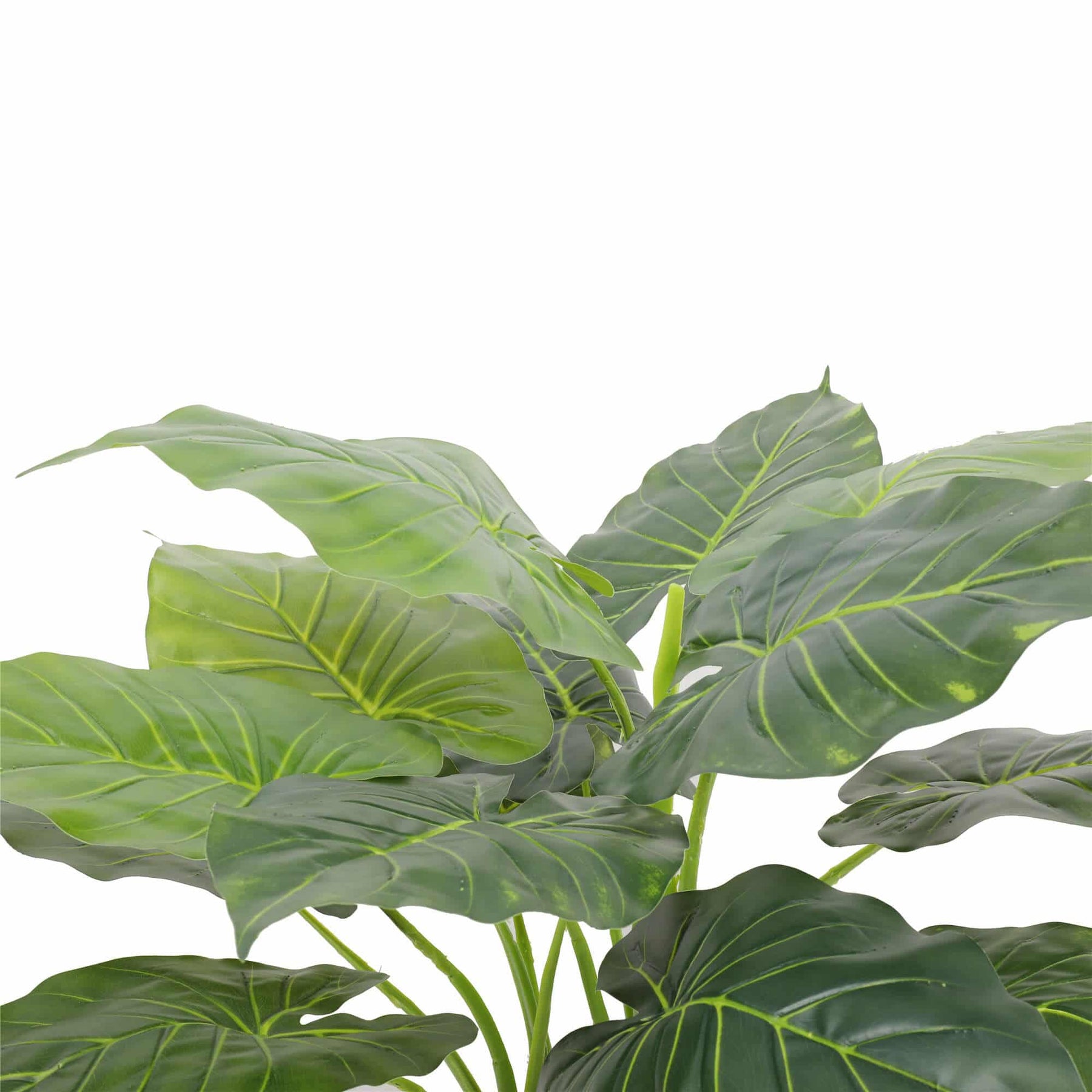 Artificial Potted Taro Plant - Faux Elephant Ear, 70cm, Indoor Decor - SuperSaverAU - view 3