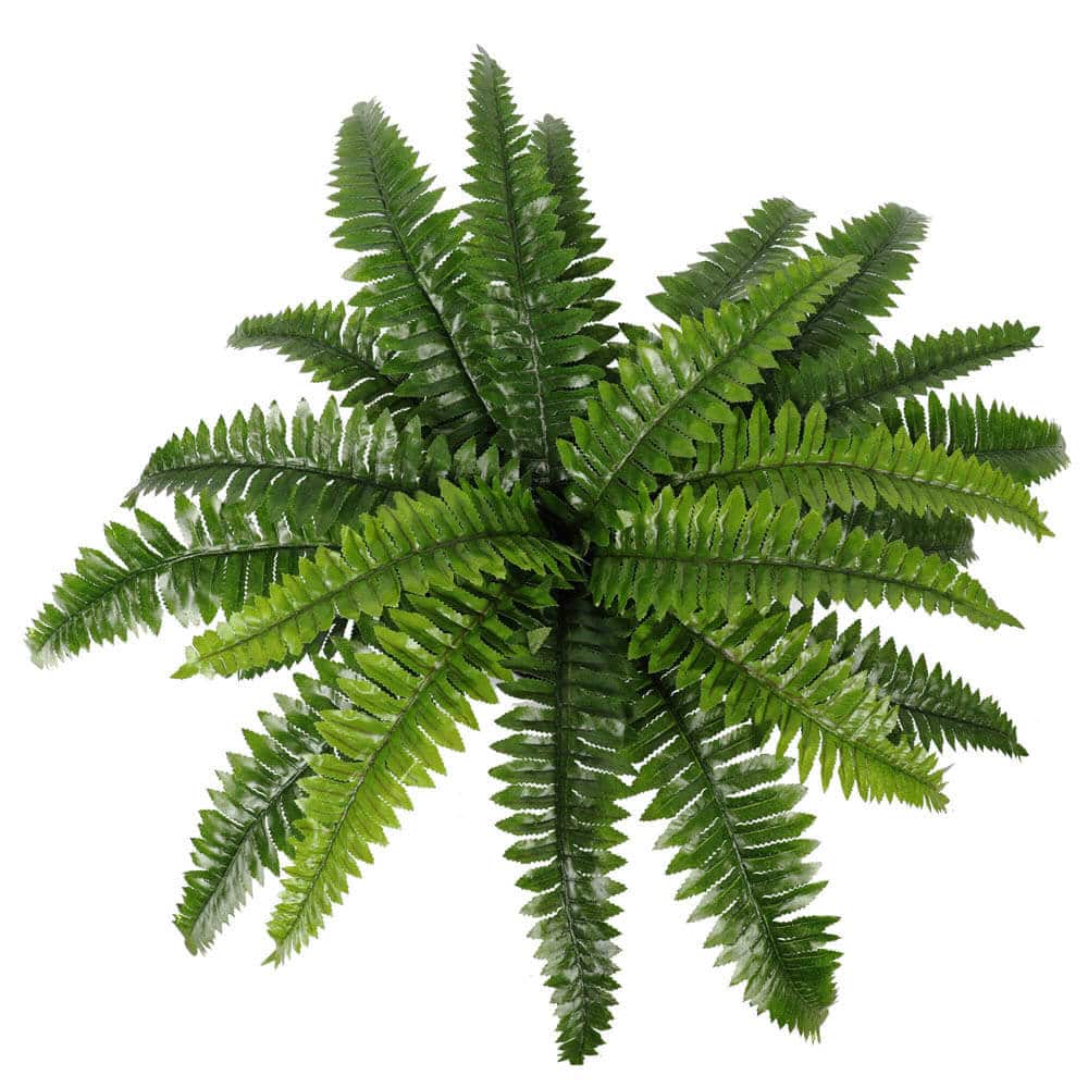 Nearly Natural Potted Boston Fern 50cm High 70cm Wide - Life-Like Foliage - SuperSaverAU - view 4