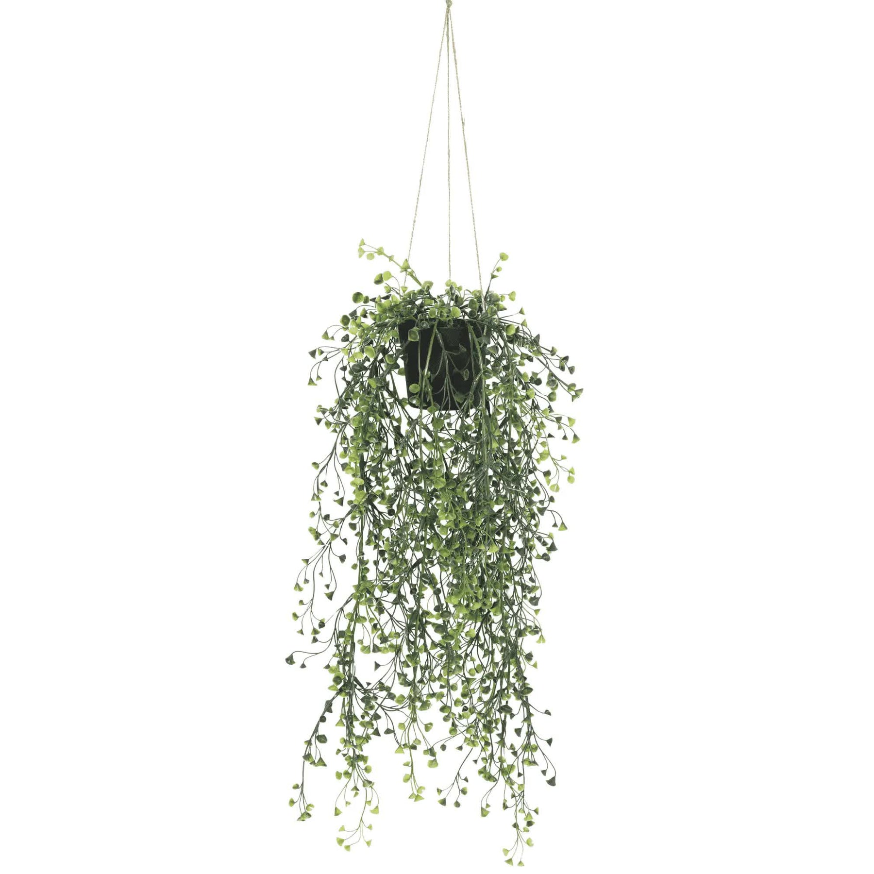 Designer Plants Artificial Hanging Pearls 56cm UV Resistant, Low Maintenance Decor - SuperSaverAU - view 1