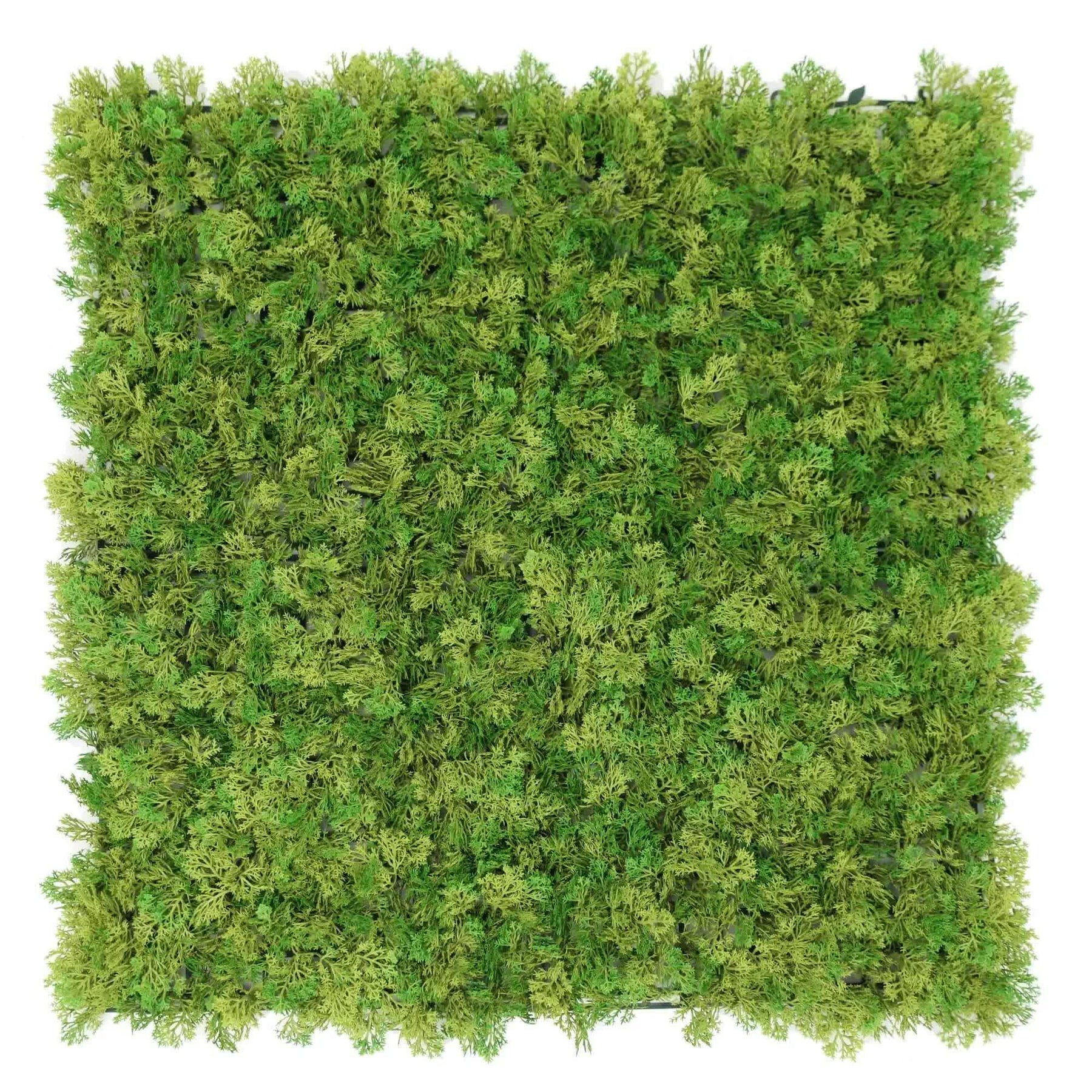 Nearly Natural Two-tone Imitation Moss Panel UV Resistant 100cm x 100cm - SuperSaverAU - view 1