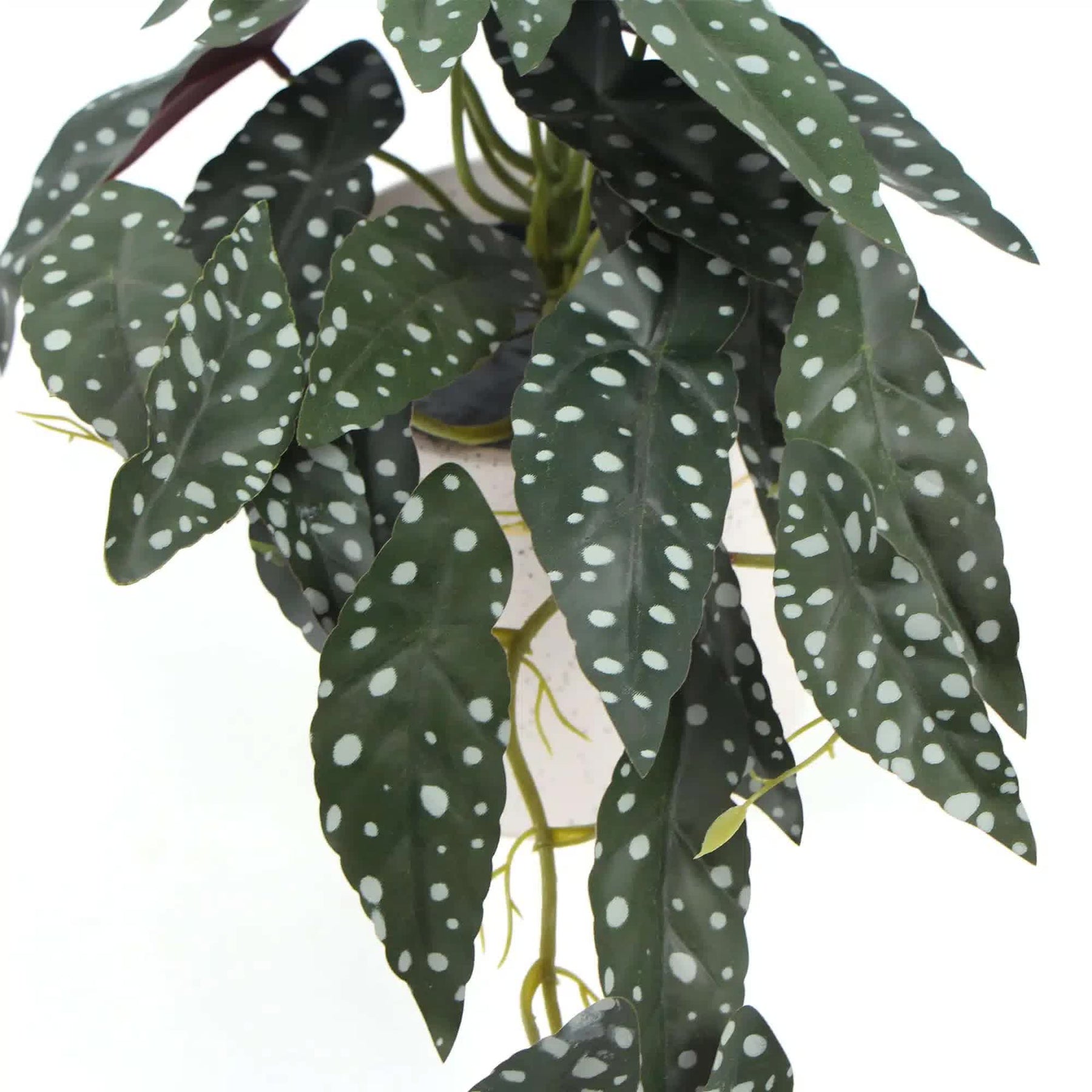 Artificial Bergonia Plant in Decorative White Ceramic Bowl 30cm - SuperSaverAU - view 4