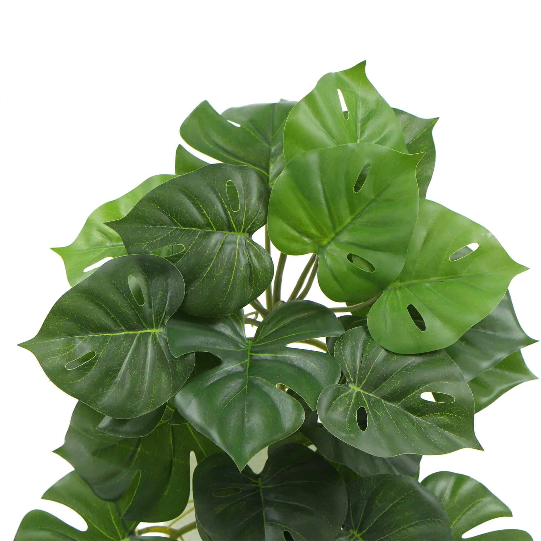 Artificial Monstera Adansonii Plant 50cm - Lifelike Indoor Decor, Easy Maintenance - SuperSaverAU - view 3