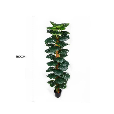 Artificial Monstera Plant 2-3ft with Black Pot - Zero Upkeep, Durable Design - SuperSaverAU - view 1