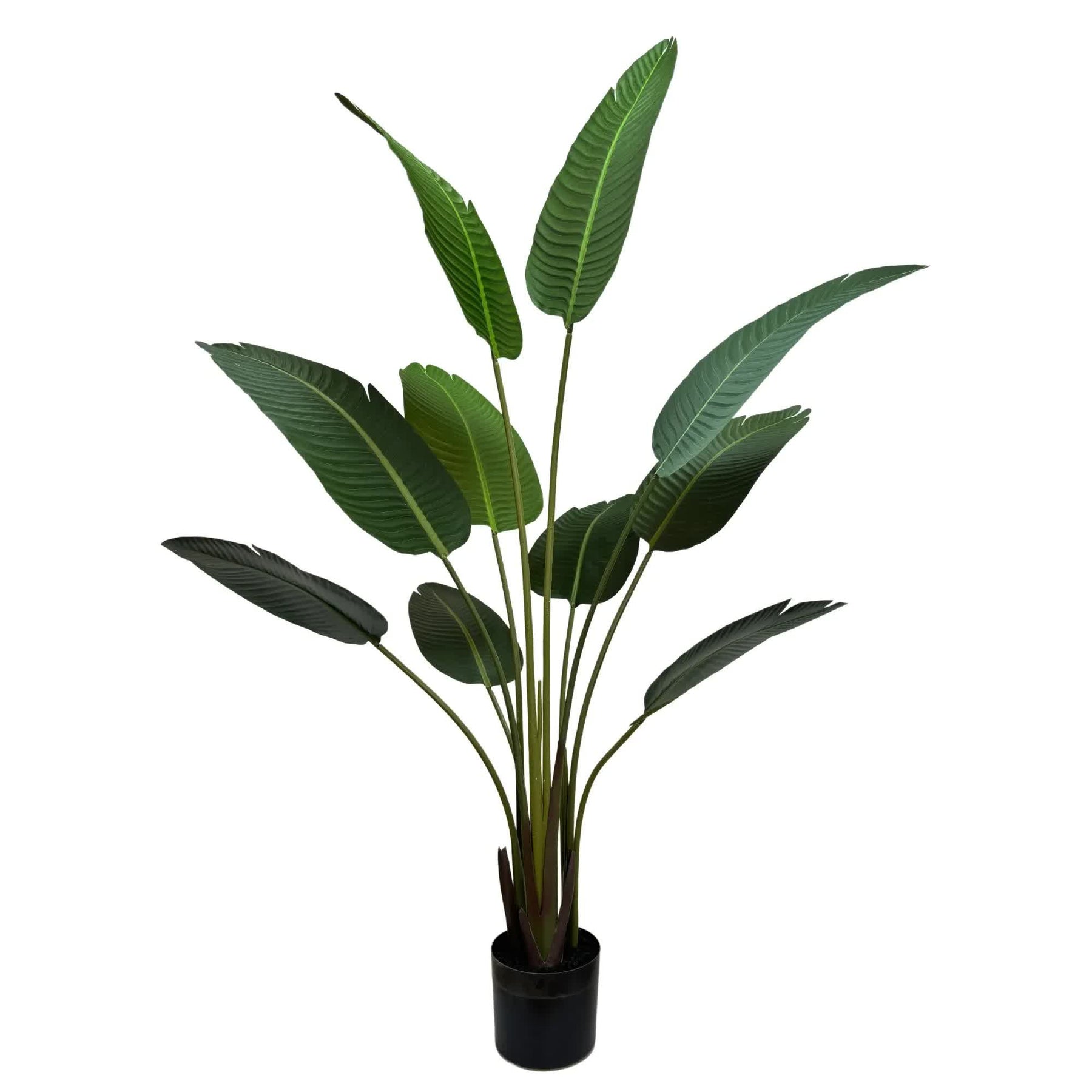 Serenity Banana Palm Tree 160cm - Artificial Tropical Plant in Black Pot - SuperSaverAU - view 2