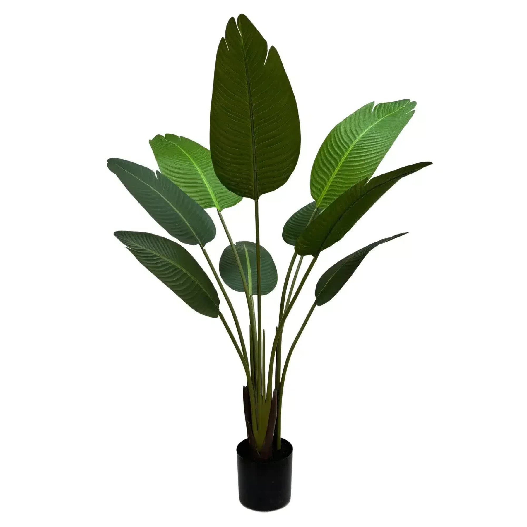 Serenity Banana Palm Tree 120cm - Artificial Plant in Modern Black Pot - SuperSaverAU - view 2