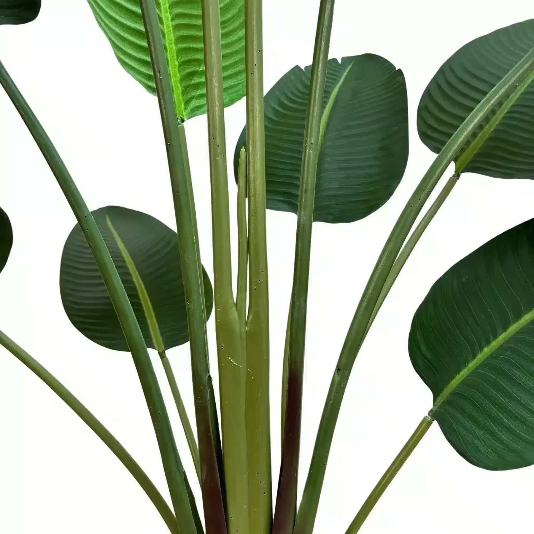 Serenity Banana Palm Tree 180cm - Artificial Tropical Plant in Black Pot - SuperSaverAU - view 3