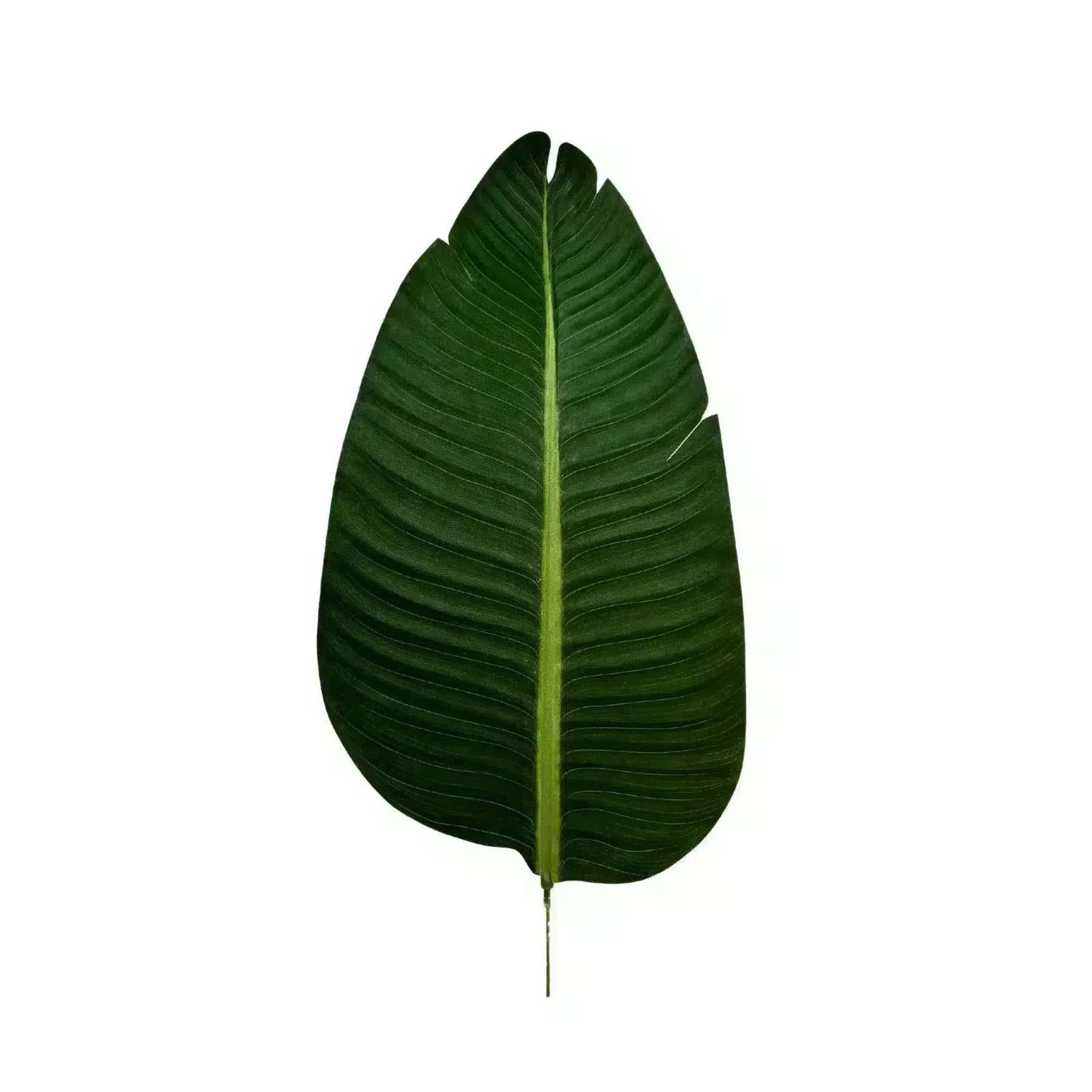 Serenity Banana Palm Tree 180cm - Artificial Tropical Plant in Black Pot - SuperSaverAU - view 4