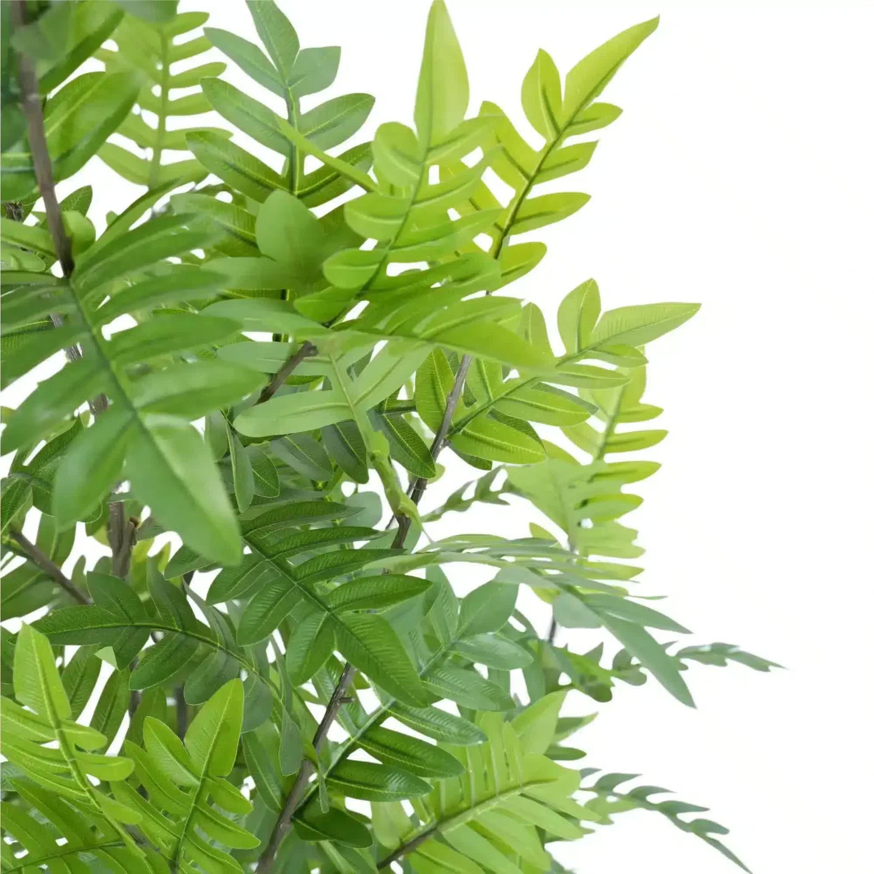 Artificial Bracken Palm Tree 180cm - Real Touch, Easy Assembly, Maintenance-Free - SuperSaverAU - view 3