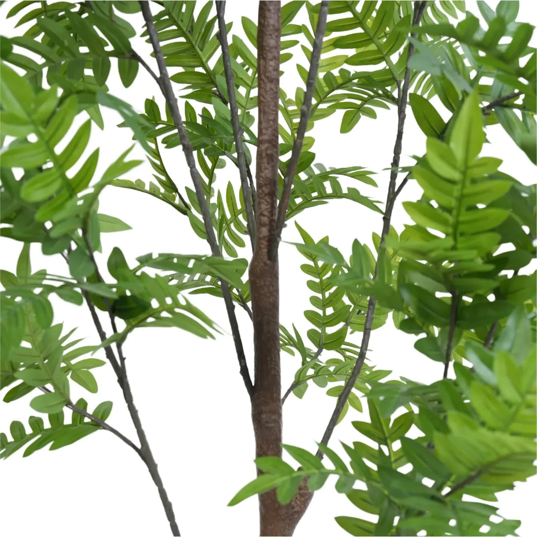 Artificial Bracken Palm Tree 180cm - Real Touch, Easy Assembly, Maintenance-Free - SuperSaverAU - view 4
