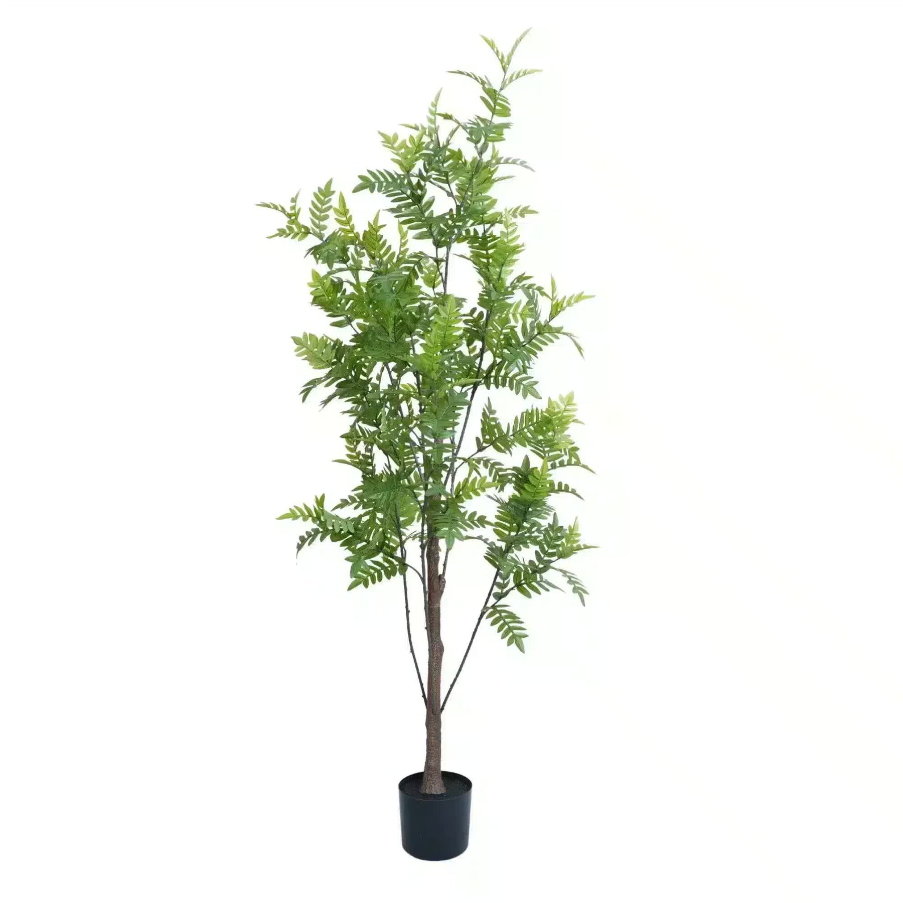 Artificial Bracken Palm Tree 180cm - Real Touch, Easy Assembly, Maintenance-Free - SuperSaverAU - view 5