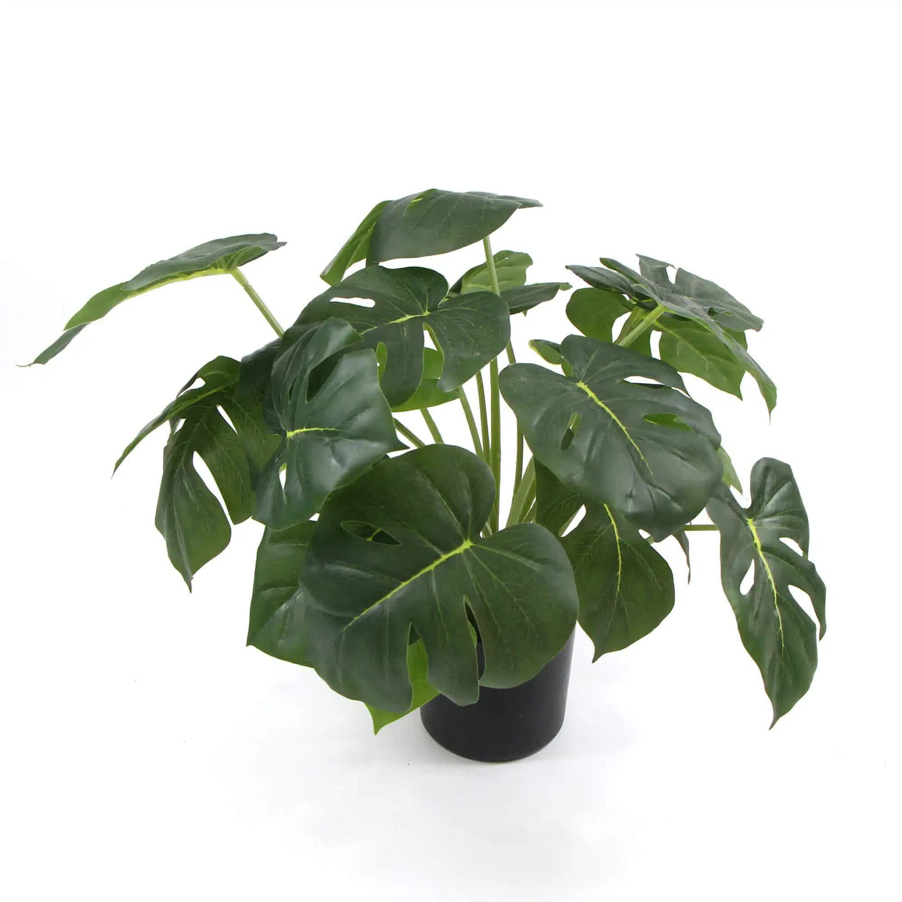 Potted Artificial Split Philodendron Plant 50cm - Real Touch Leaves, White Pot - SuperSaverAU - view 2