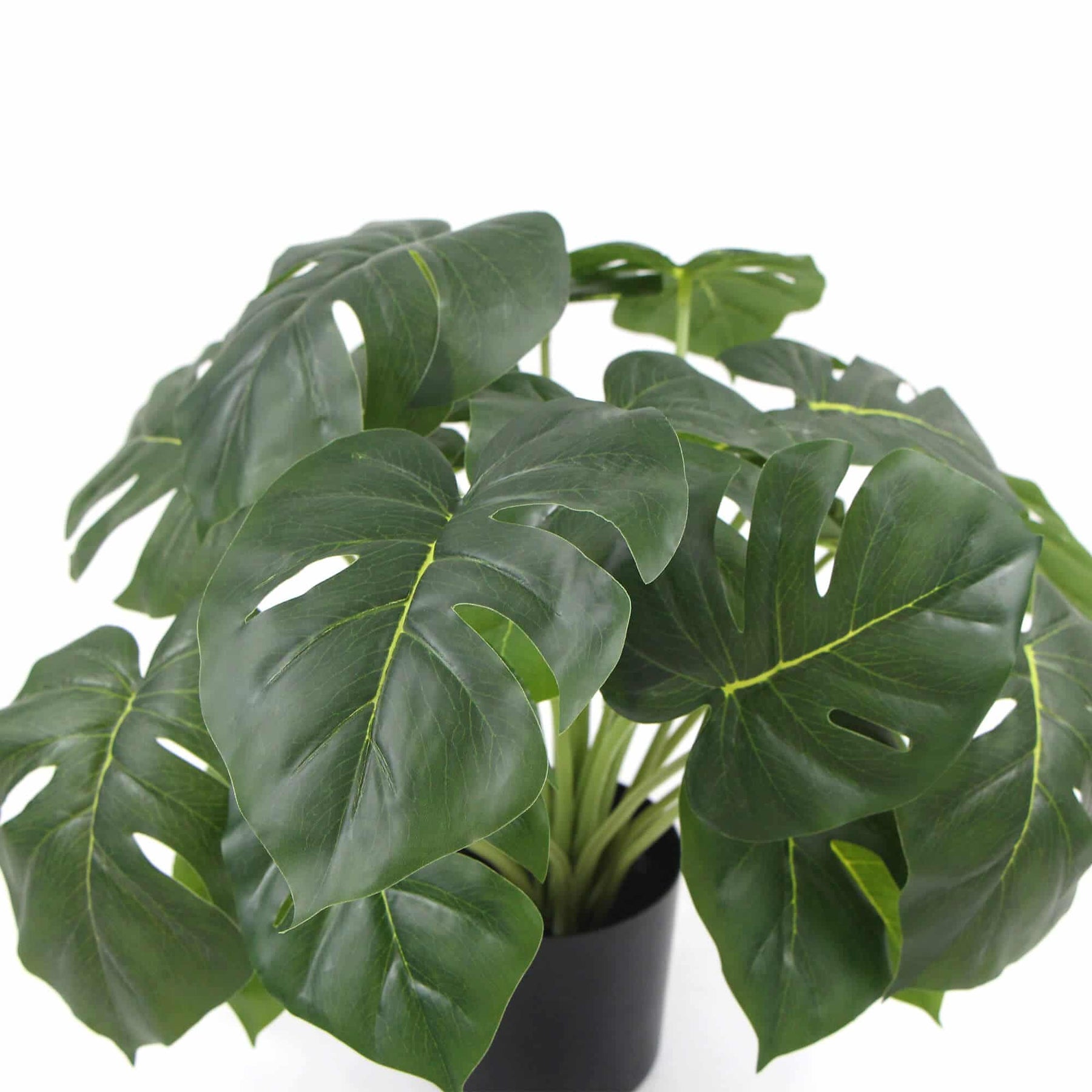 Potted Artificial Split Philodendron Plant 50cm - Real Touch Leaves, White Pot - SuperSaverAU - view 3