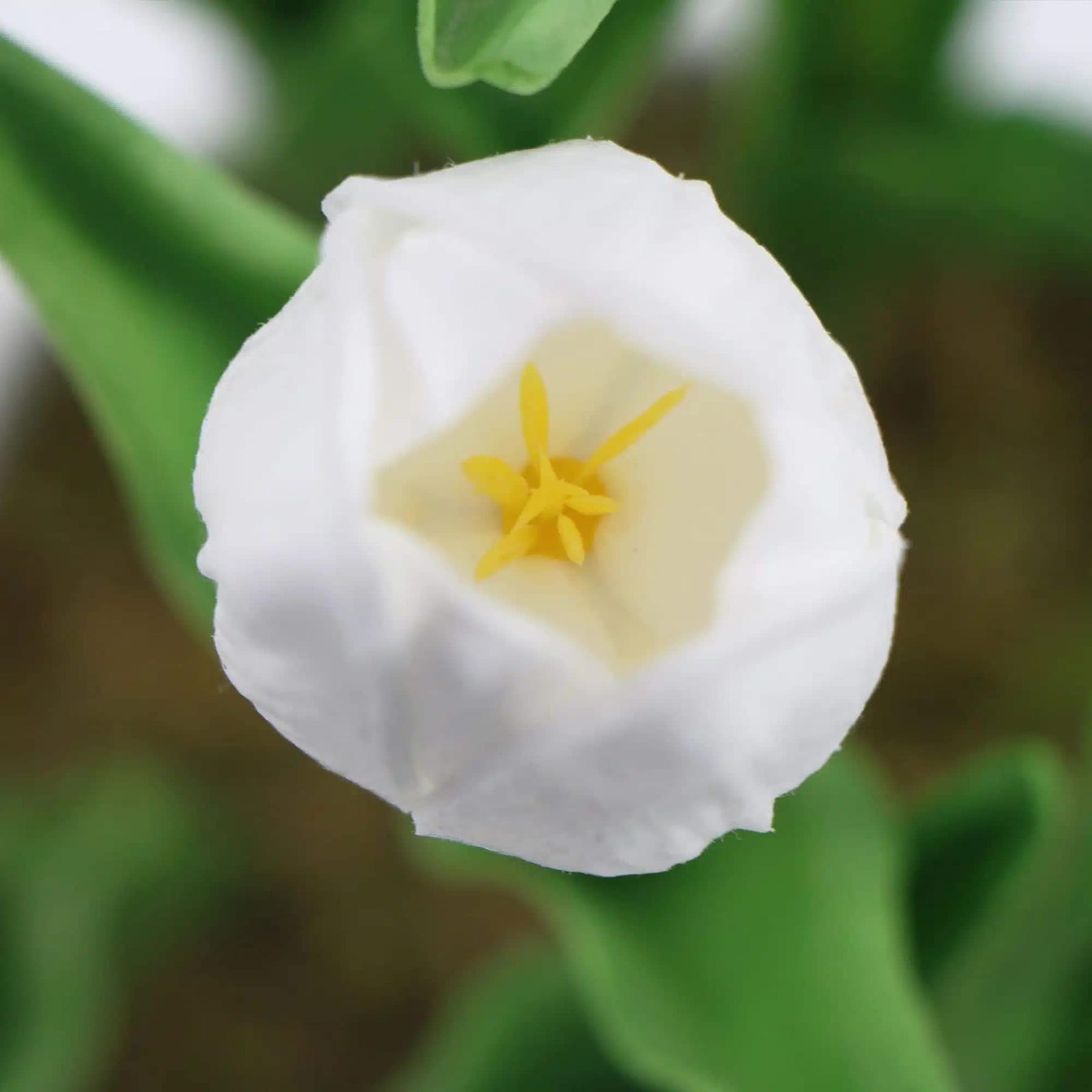 Artificial Flowering White Tulip Arrangement 35cm in Ceramic Bowl - Indoor Use - SuperSaverAU - view 4