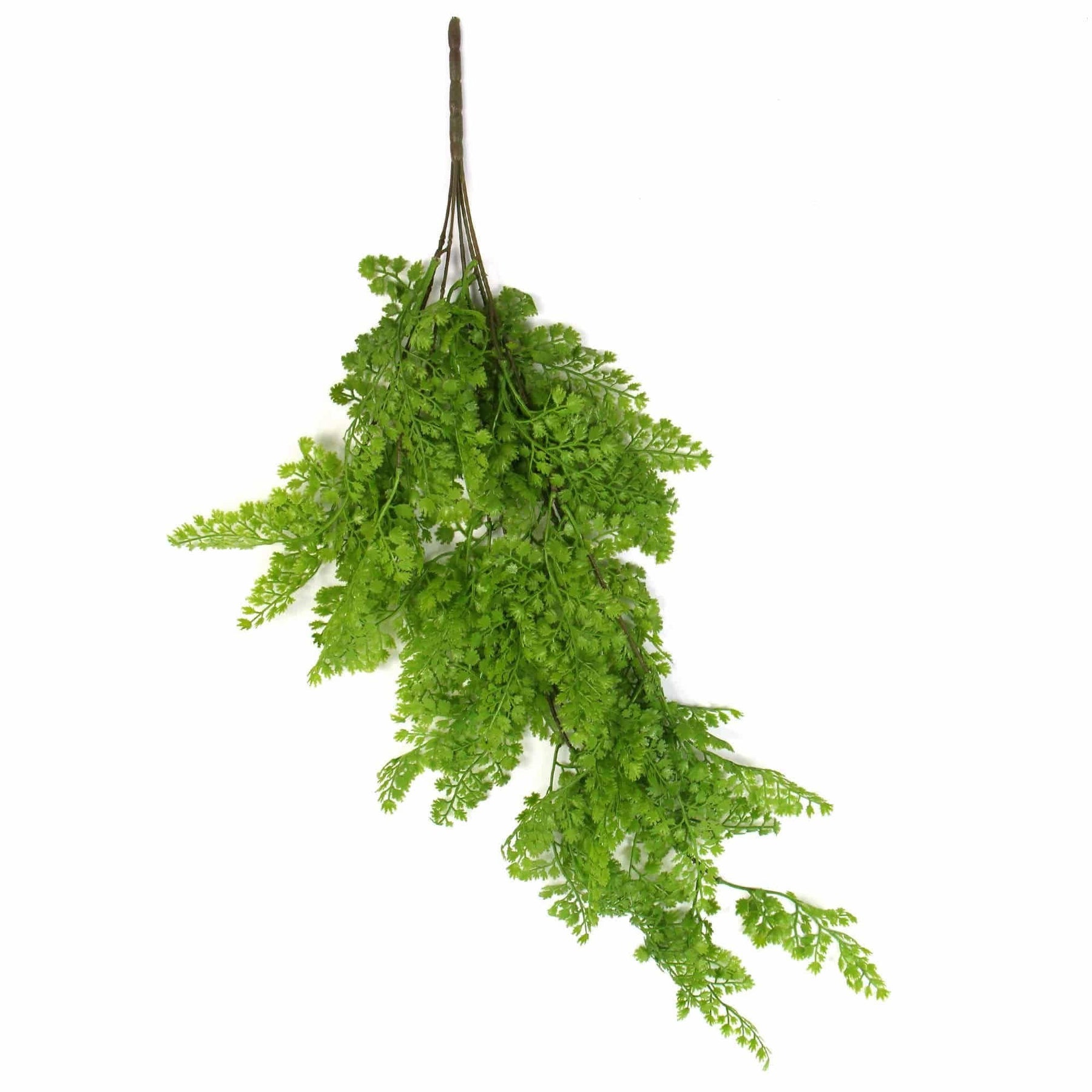 Designer Plants Hanging Native Green Dense Maiden Hair Bush UV Resistant 80cm - SuperSaverAU - view 2