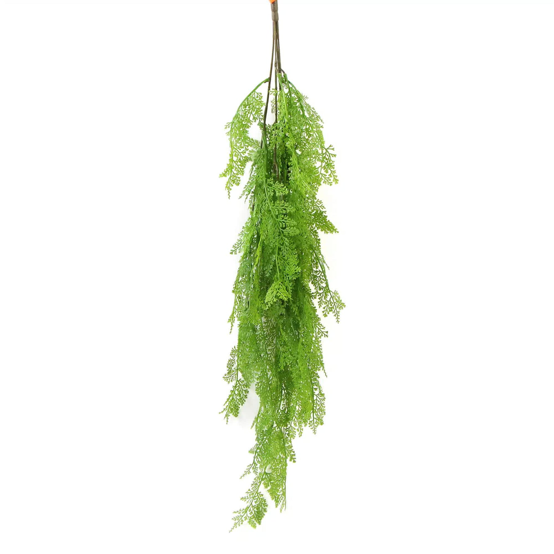 Designer Plants 80cm Hanging Maidenhair Fern Bush UV Resistant - Low Maintenance, Air Purifying - SuperSaverAU - view 3